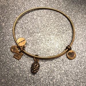 Pine cone Alex and Ani